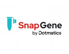 Snapgene网站优化案例