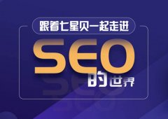 【SEO优化】如何提升网站关键词排名